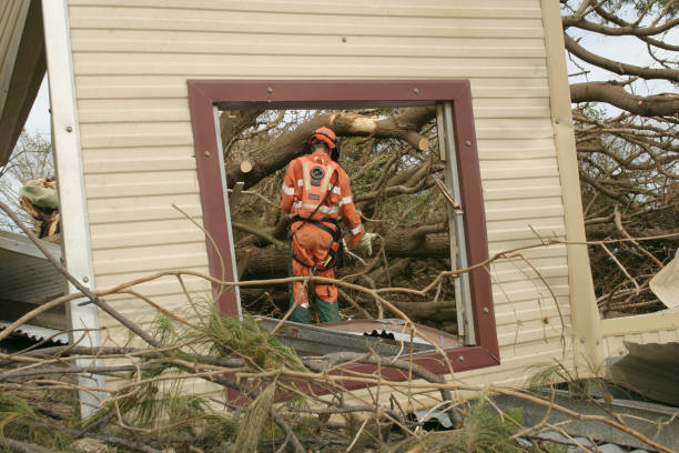 Best Tree and Shrub Care  in Fort Davis, TX